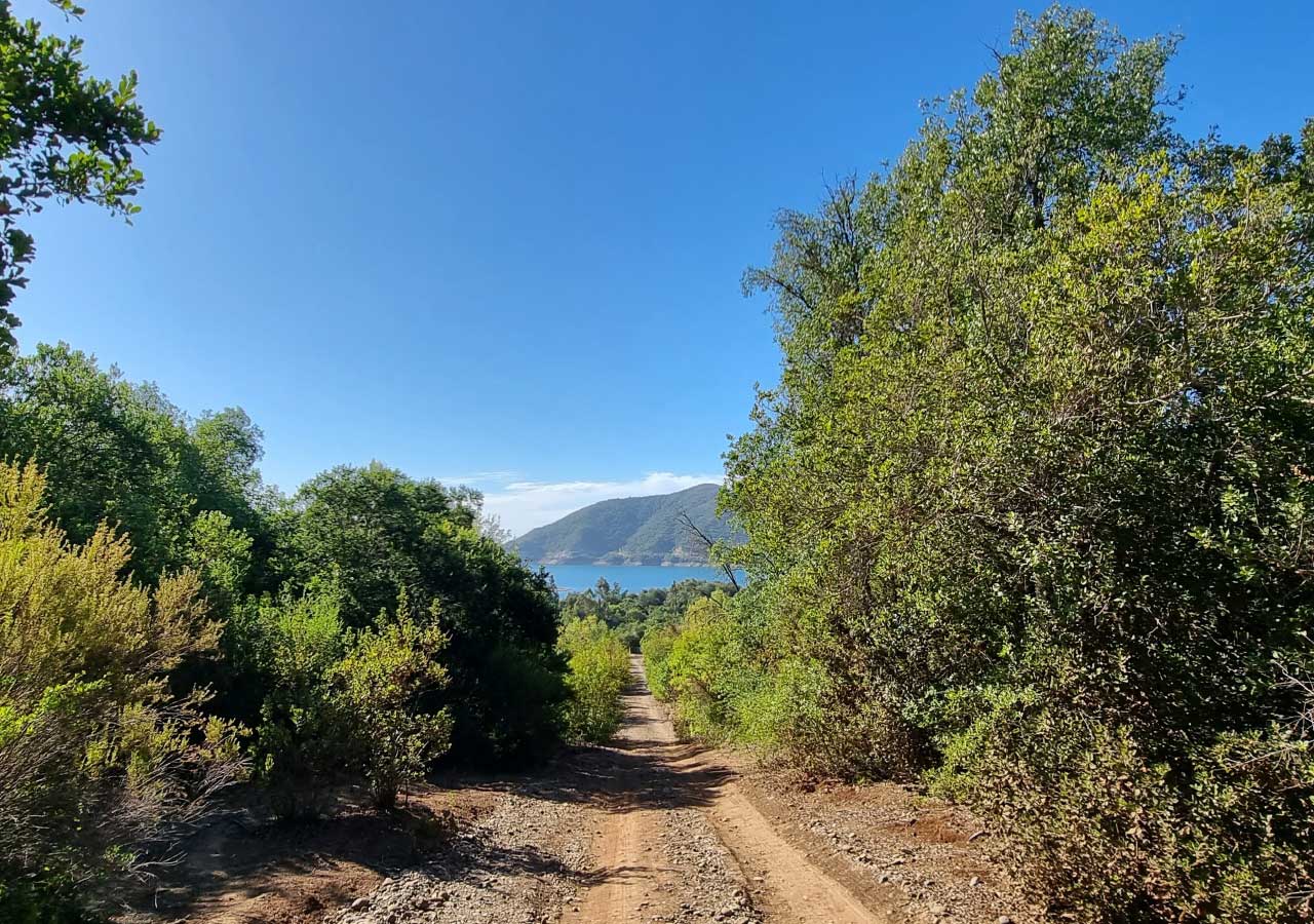 Terreno en venta en Colbún — foto 4