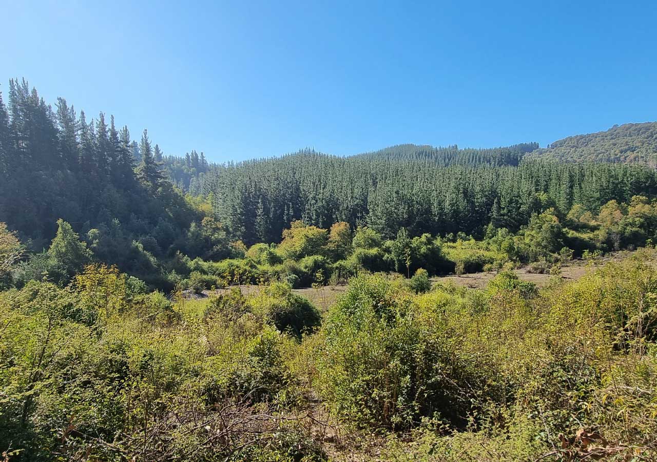 Terreno en venta en Colbún — foto 1