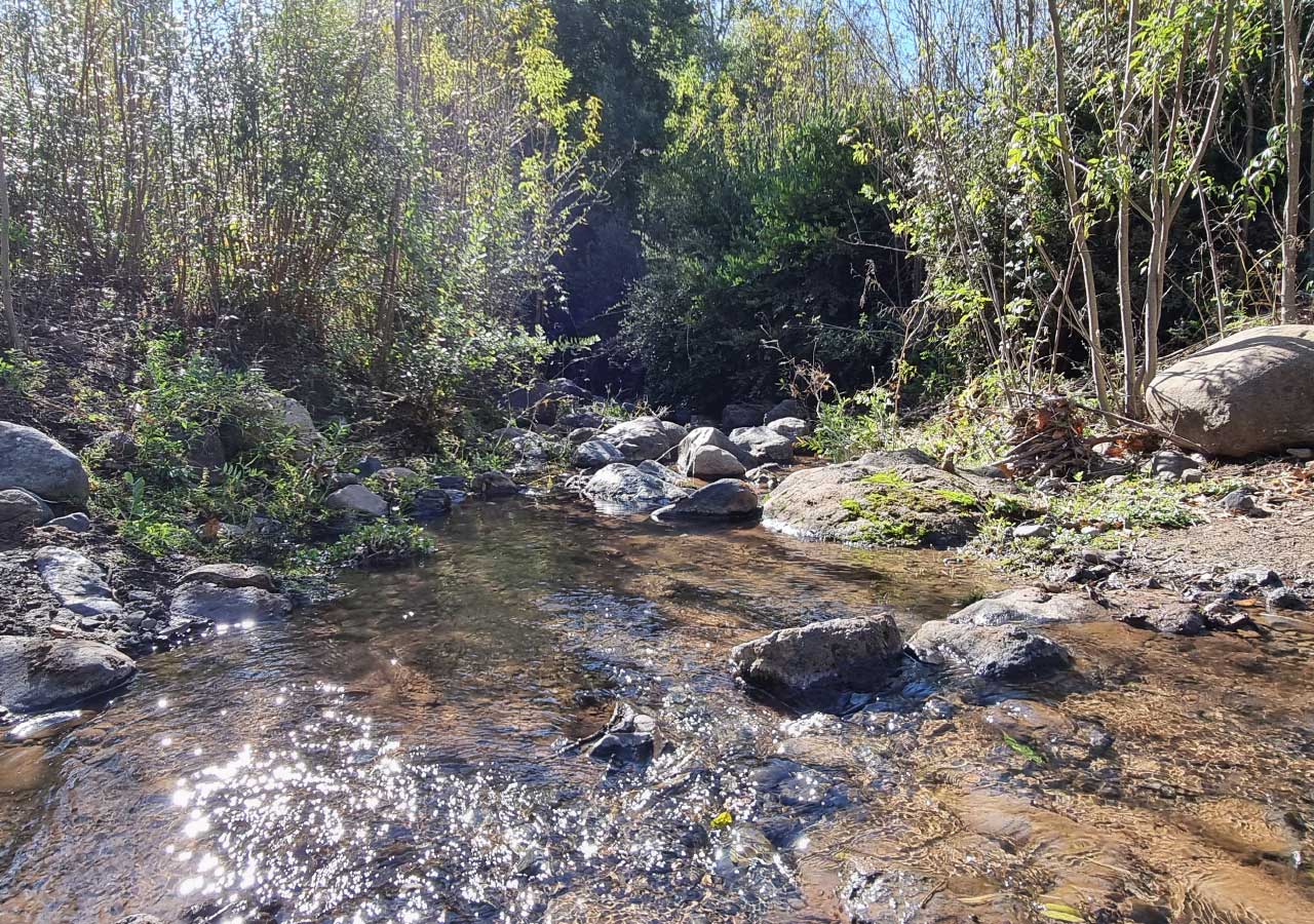 Terreno en venta en Colbún — foto 2