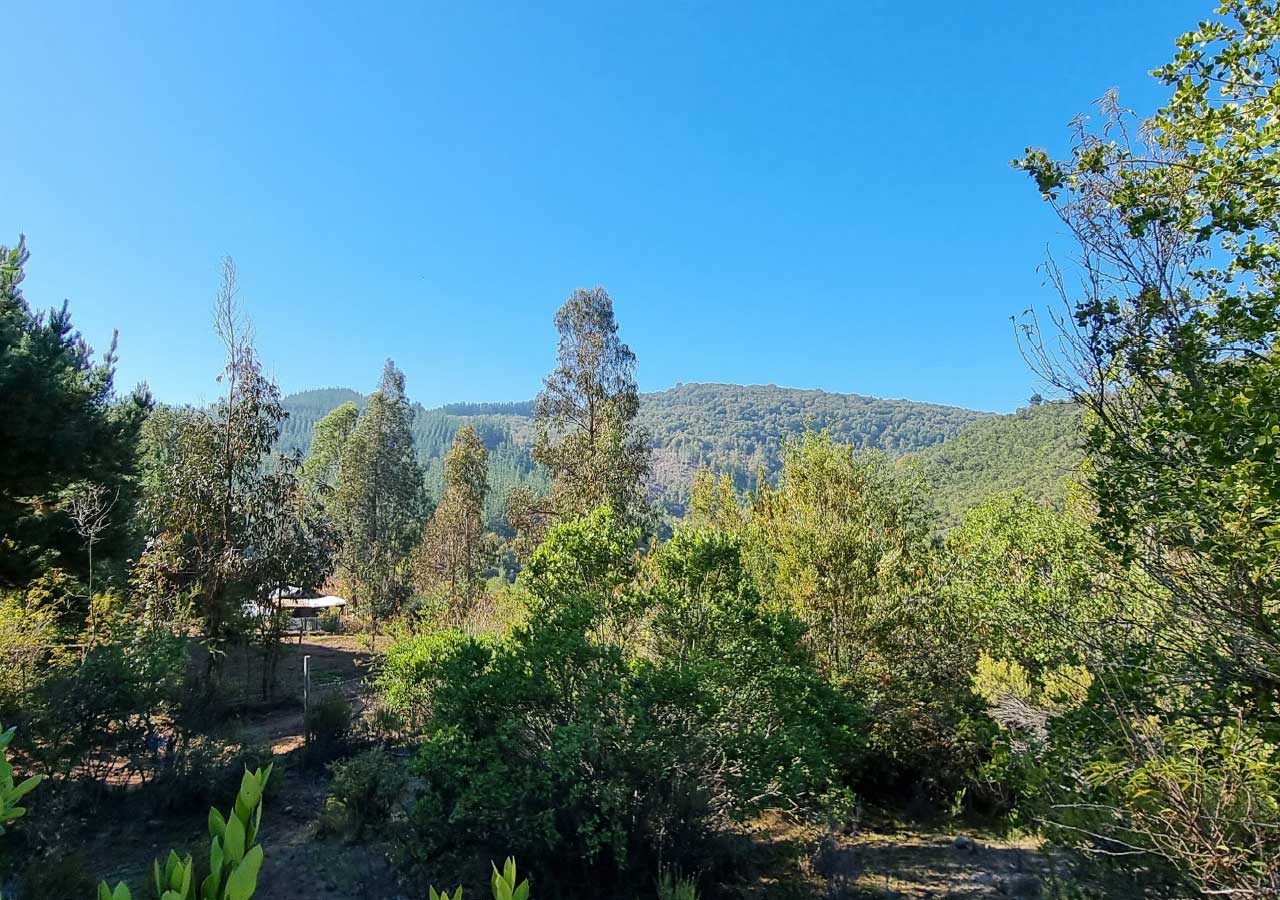 Terreno en venta en Colbún — foto 3
