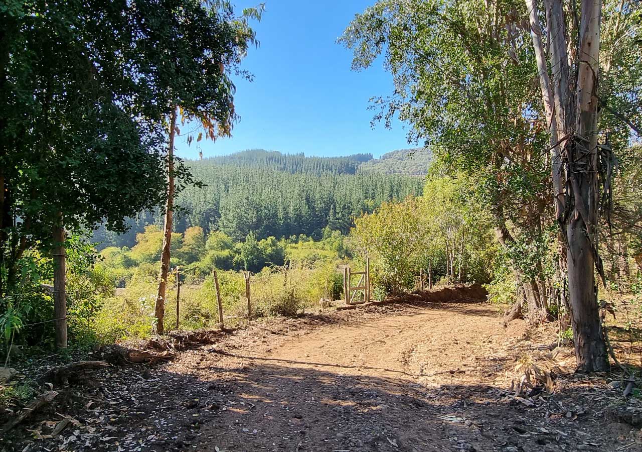Terreno en venta en Colbún — foto 4