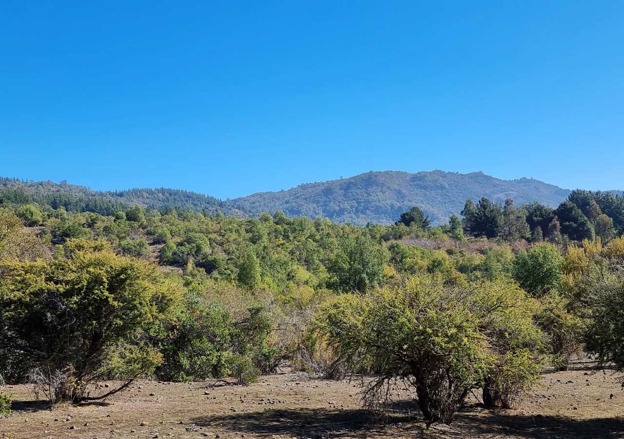 Terreno en venta en Colbún — foto 6