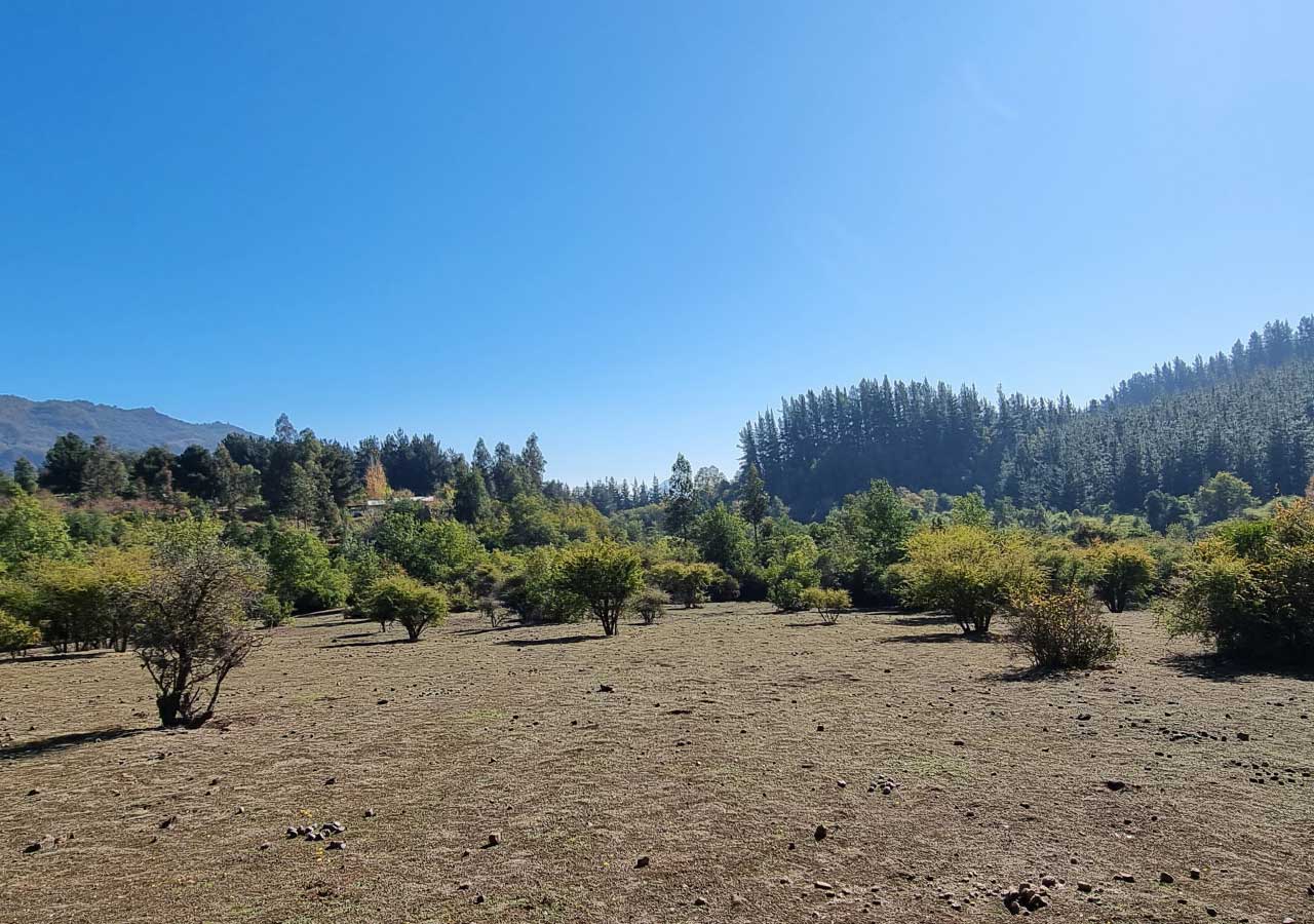 Terreno en venta en Colbún — foto 7