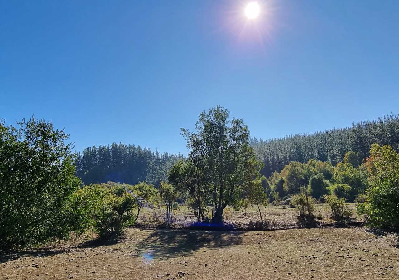 Terreno en venta en Colbún — foto 8