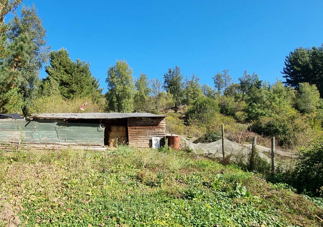 Terreno en venta en Colbún — foto 9