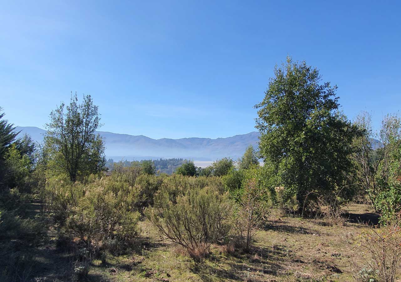 Terreno en venta en Colbún — foto 3