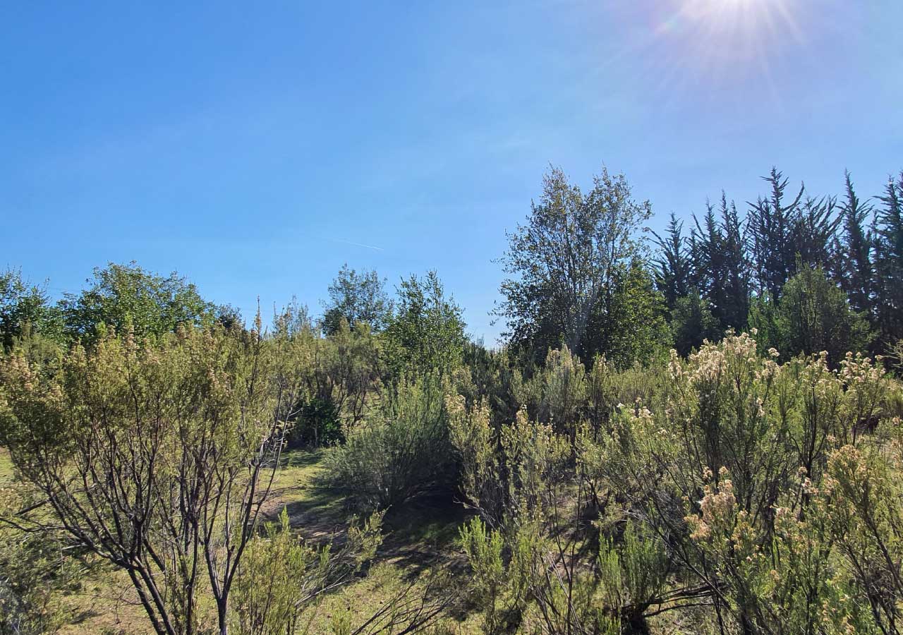 Terreno en venta en Colbún — foto 5