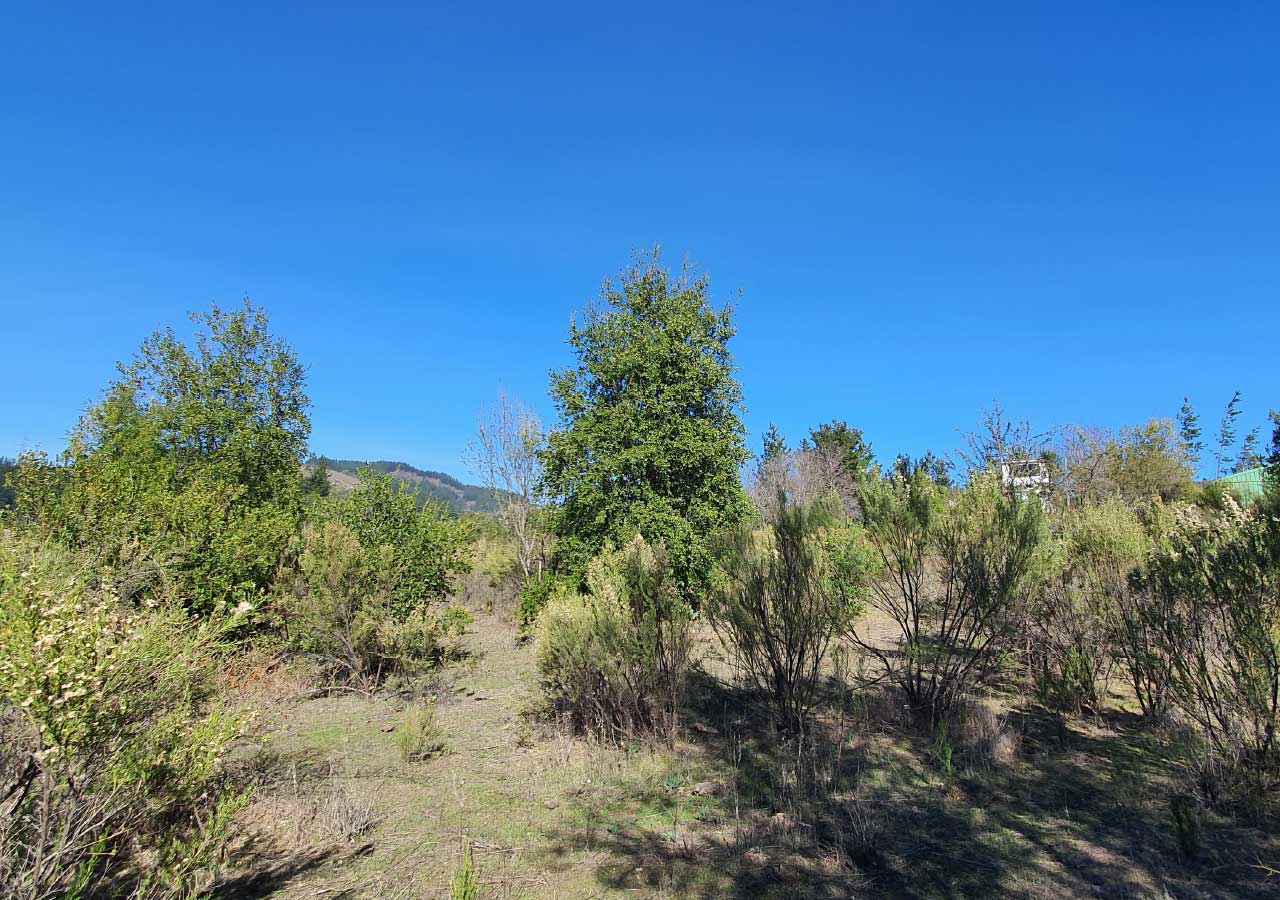 Terreno en venta en Colbún — foto 6