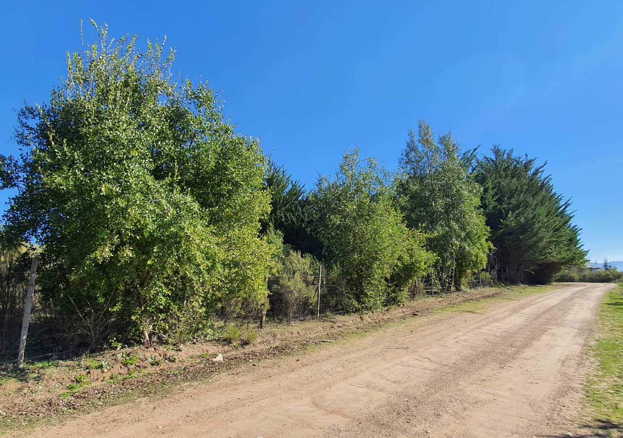 Terreno en venta en Colbún — foto 7