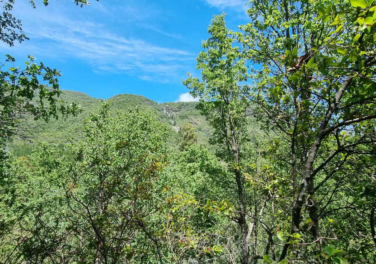 Terreno en venta en Colbún — foto 4