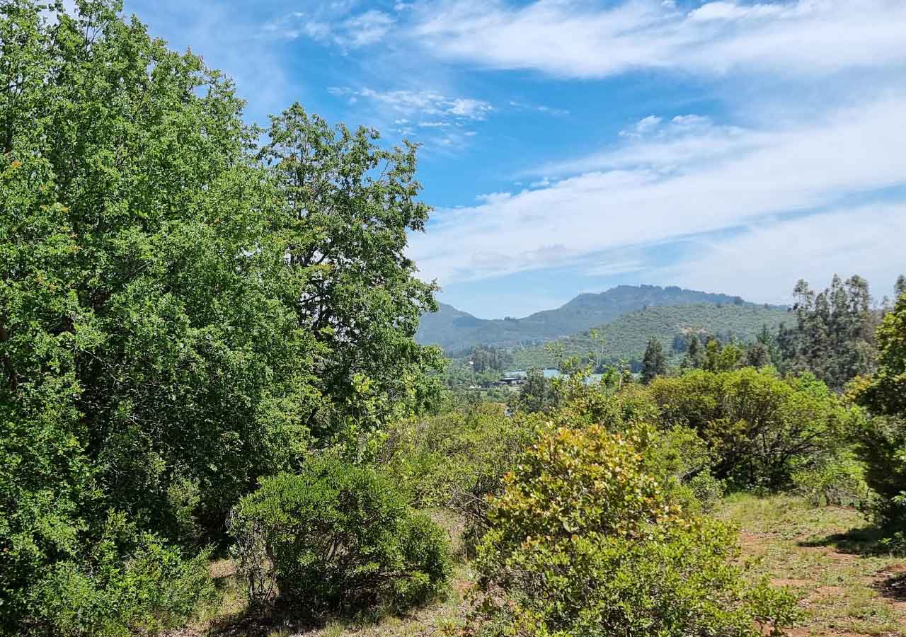 Terreno en venta en Colbún — foto 5