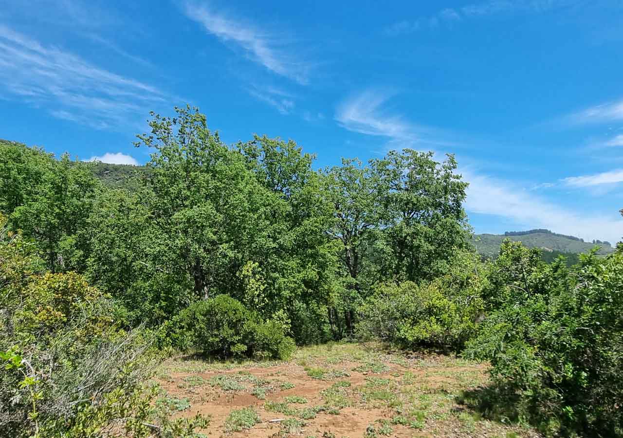 Terreno en venta en Colbún — foto 6
