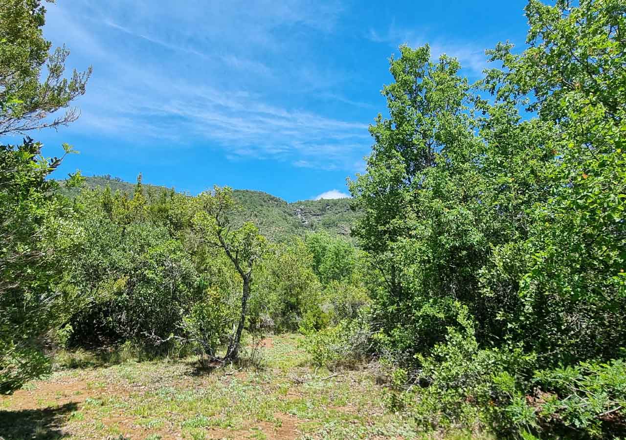 Terreno en venta en Colbún — foto 7
