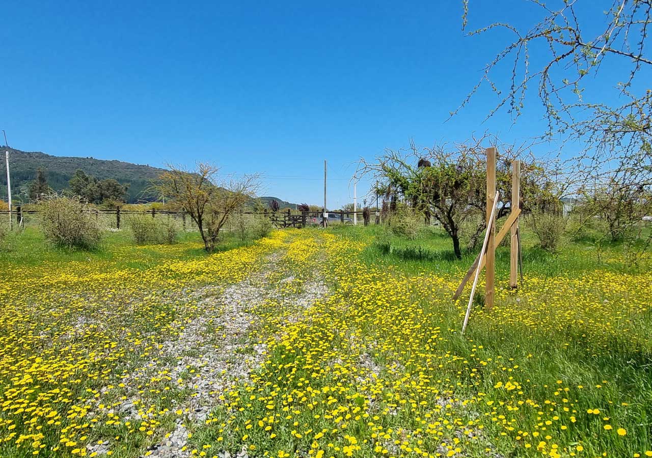 Terreno en venta en Colbún — foto 3