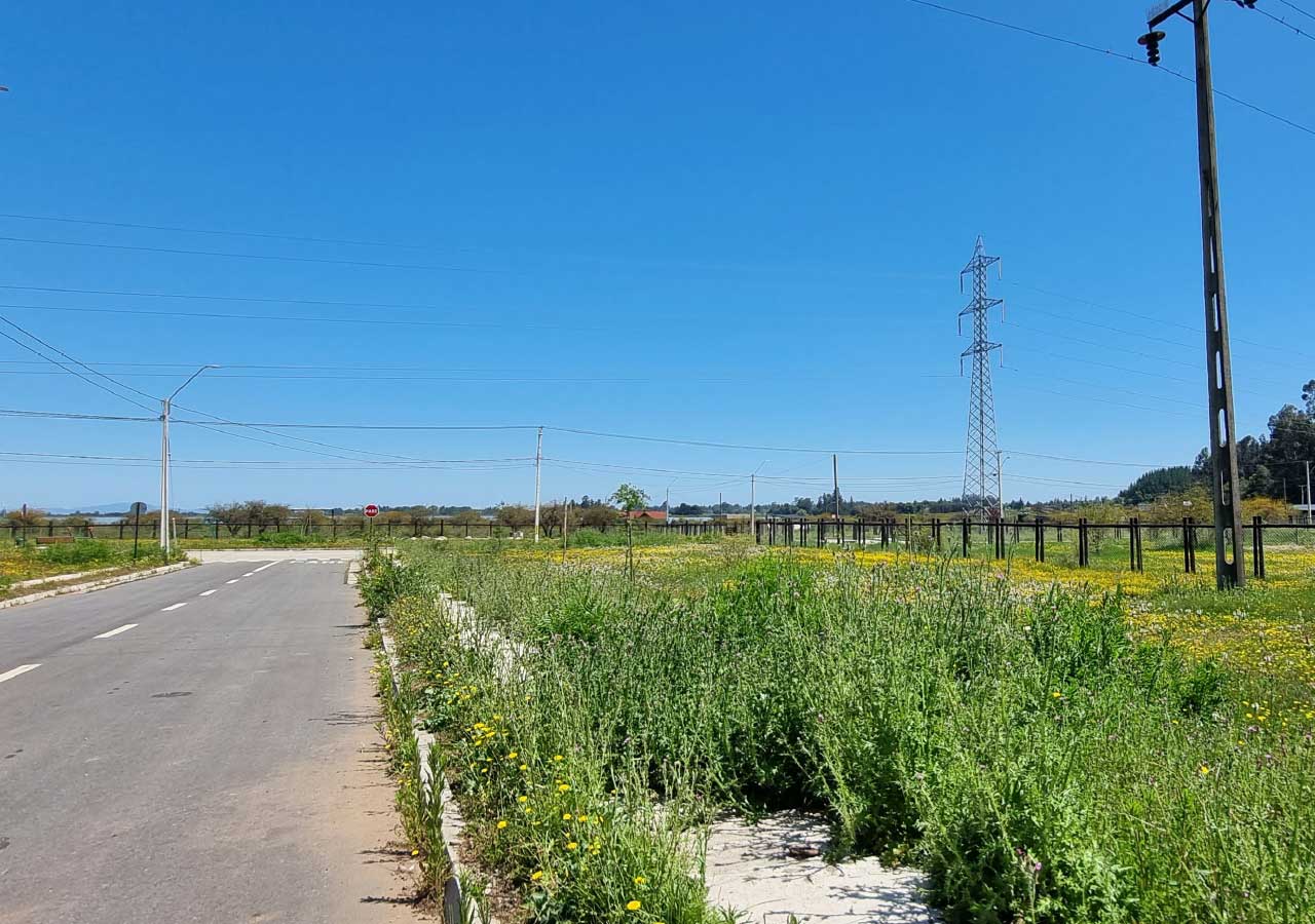 Terreno en venta en Colbún — foto 8