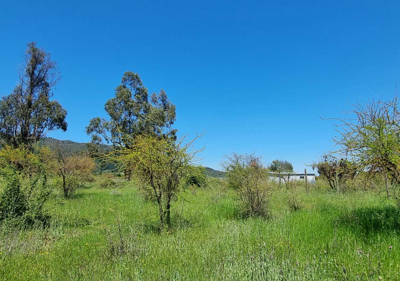 Terreno en venta en Colbún — foto 1