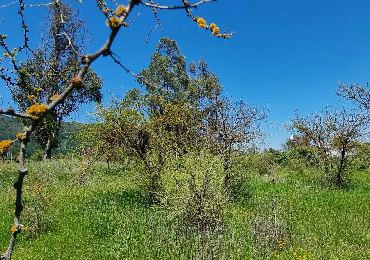 Terreno en venta en Colbún — foto 2