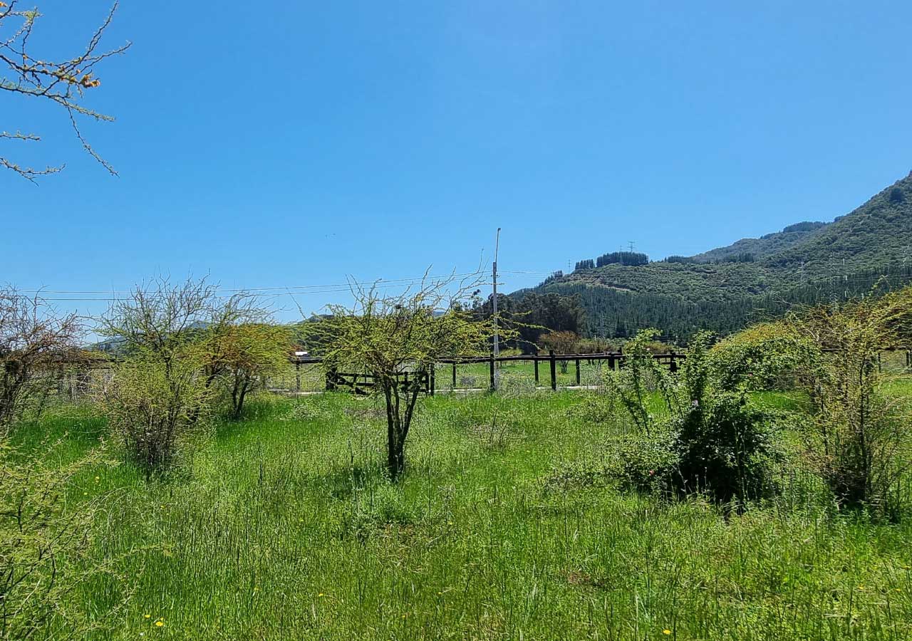Terreno en venta en Colbún — foto 3
