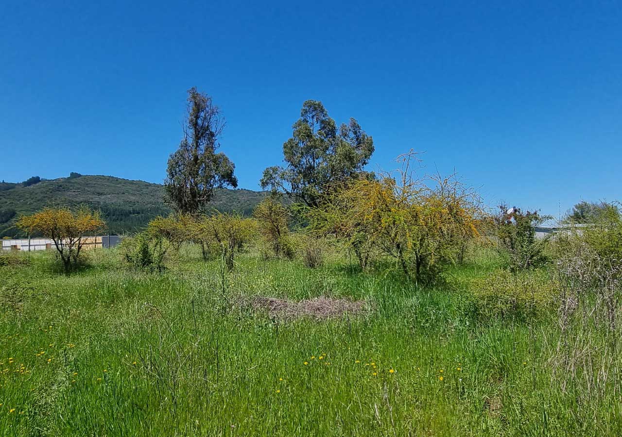 Terreno en venta en Colbún — foto 4