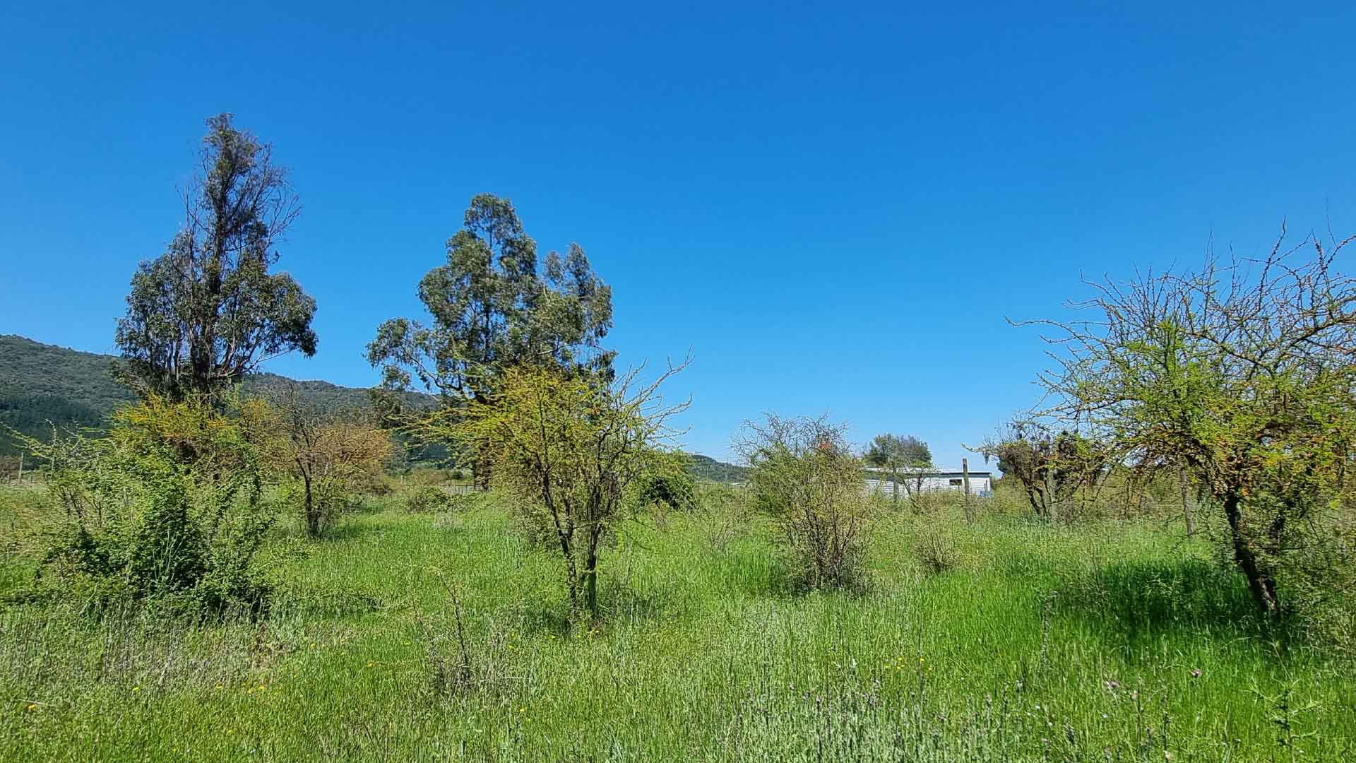 Terreno en venta en Colbún — foto 5