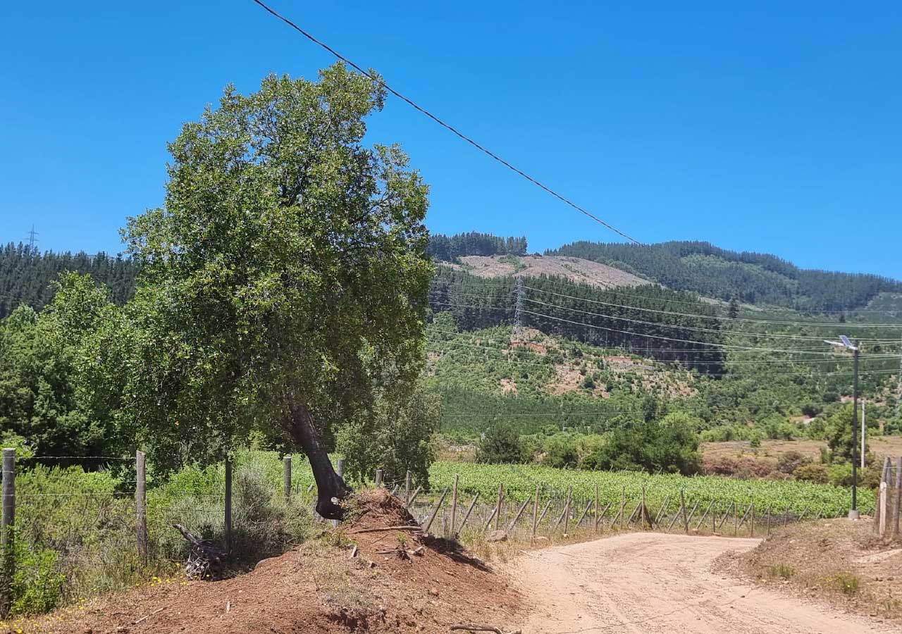 Terreno en venta en Colbún — foto 4