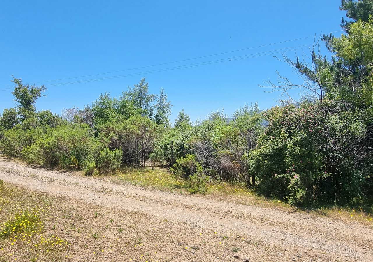 Terreno en venta en Colbún — foto 5