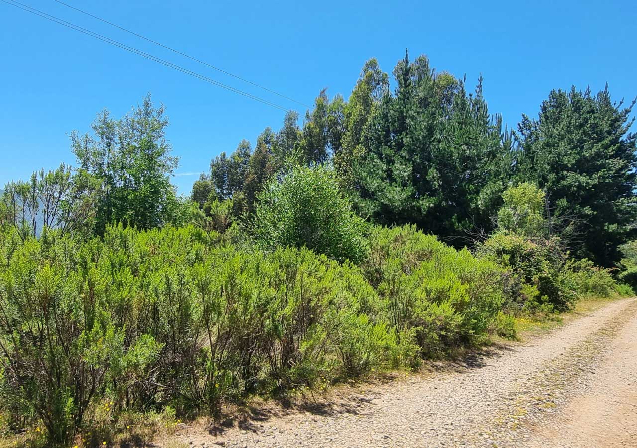 Terreno en venta en Colbún — foto 7