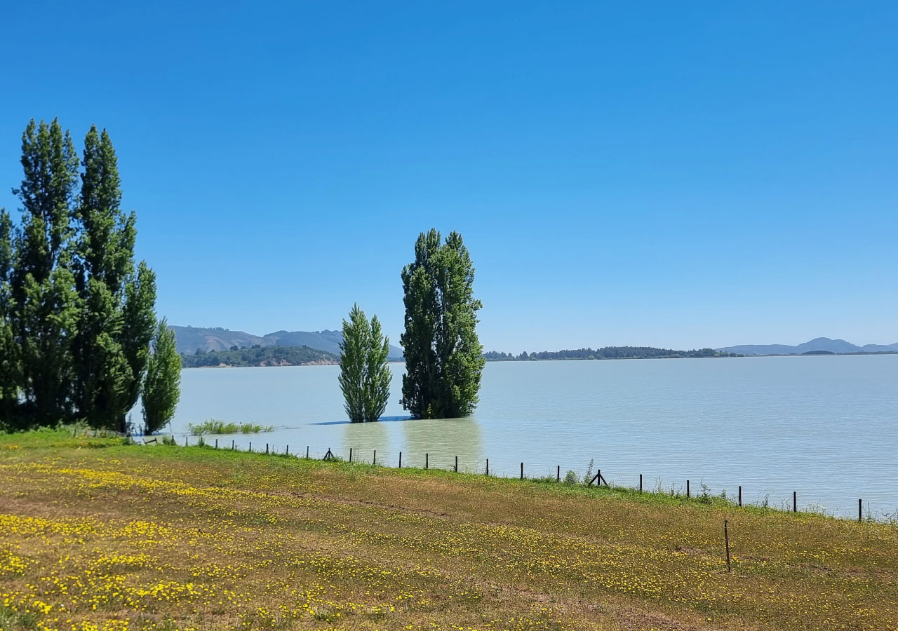 Terreno en venta en Colbún — foto 4