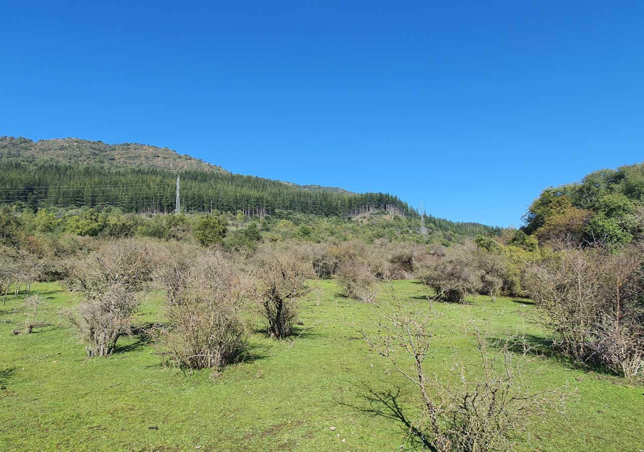 Terreno en venta en Colbún — foto 4