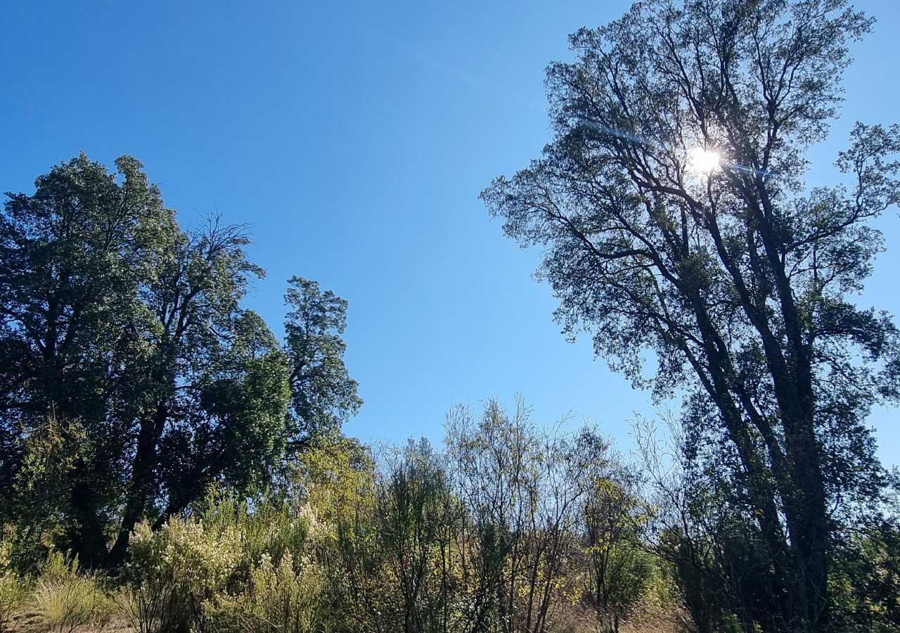 Terreno en venta en Colbún — foto 2