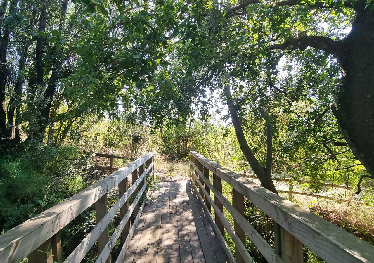 Terreno en venta en Colbún — foto 3