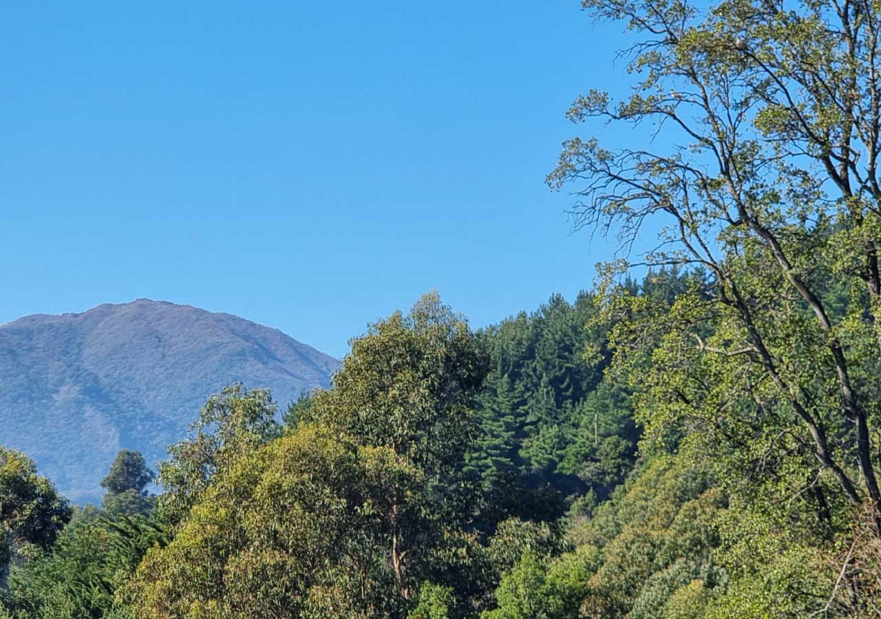Terreno en venta en Colbún — foto 8
