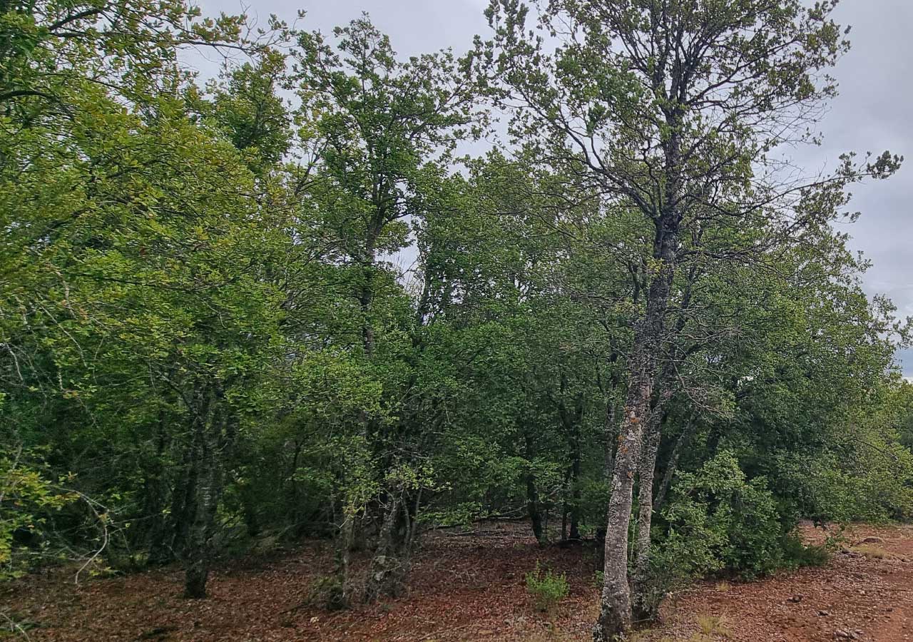 Terreno en venta en Colbún — foto 4