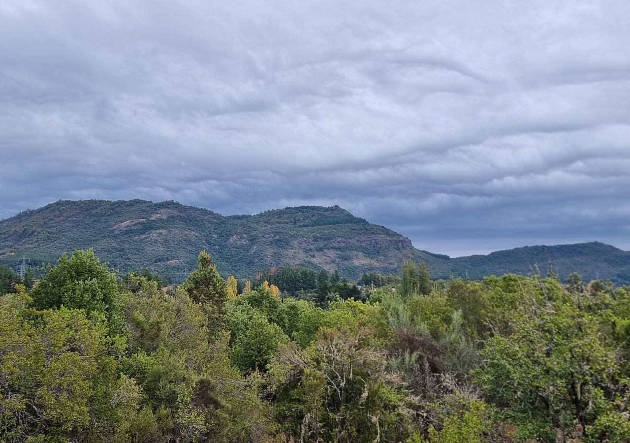 Terreno en venta en Colbún — foto 5