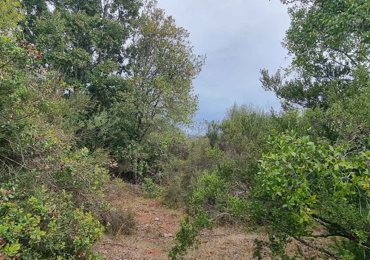 Terreno en venta en Colbún — foto 7