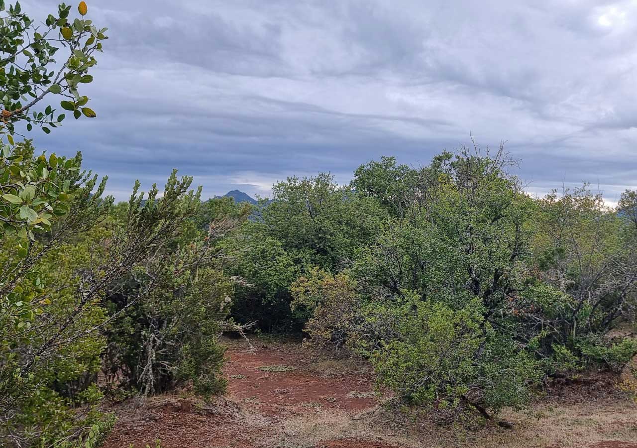 Terreno en venta en Colbún — foto 8