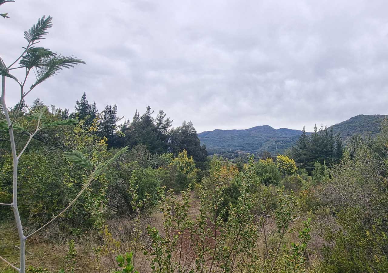 Terreno en venta en Colbún — foto 2