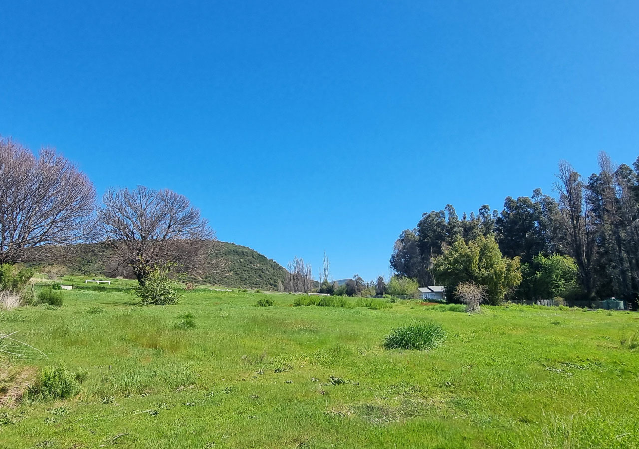 Terreno en venta en Colbún — foto 5