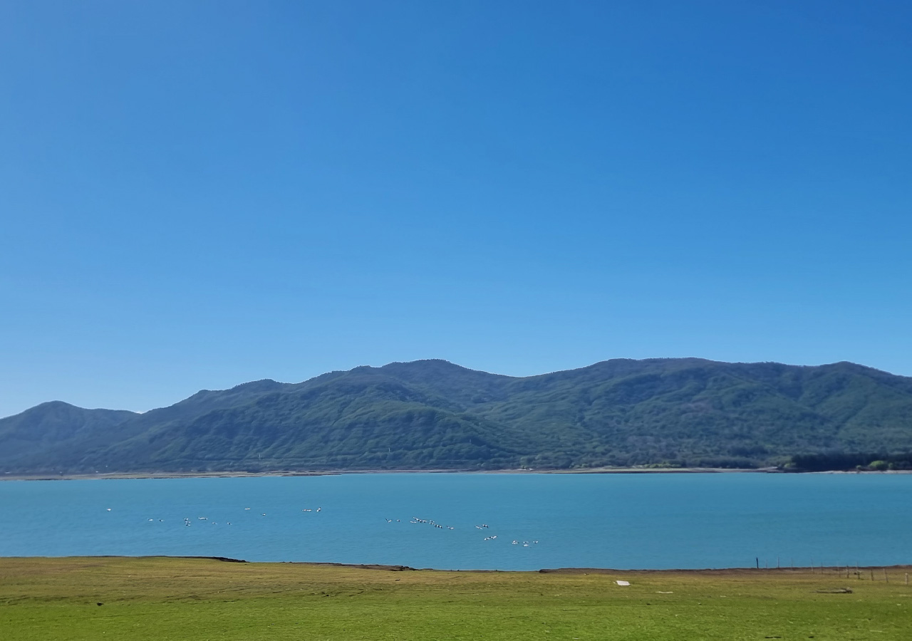 Terreno en venta en Colbún — foto 6