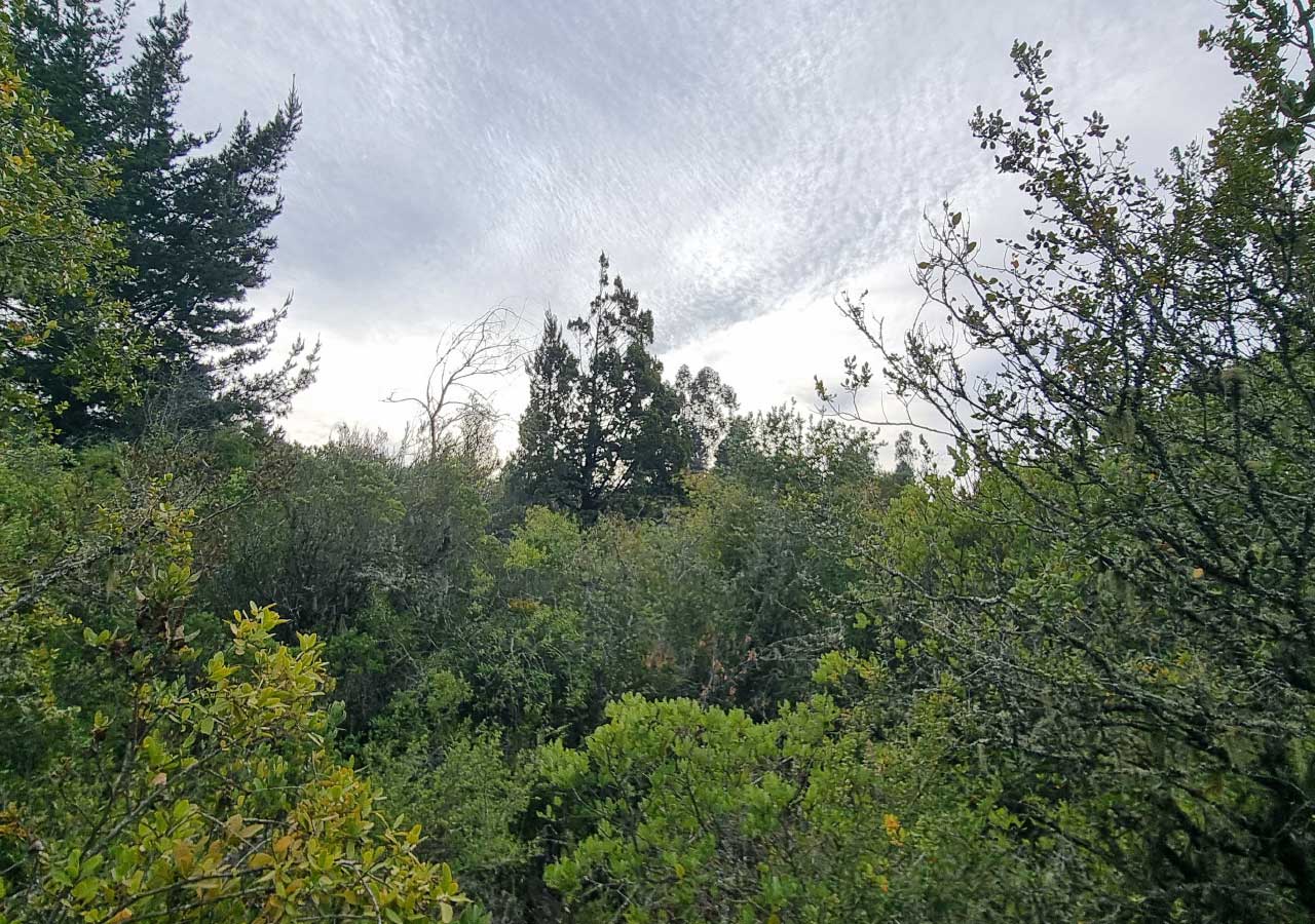 Terreno en venta en Colbún — foto 5