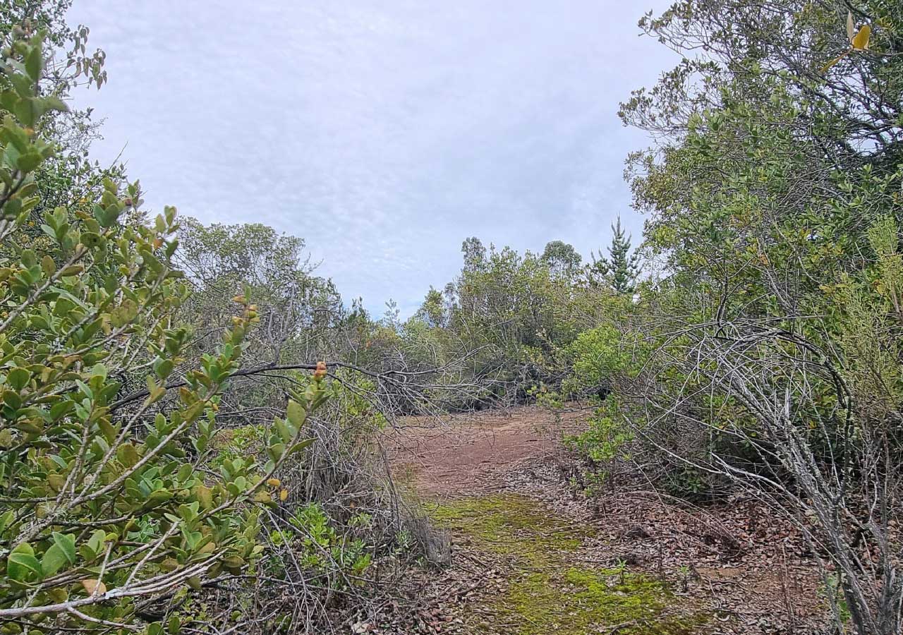 Terreno en venta en Colbún — foto 6