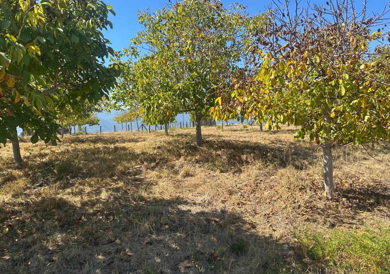 Terreno en venta en Colbún — foto 3