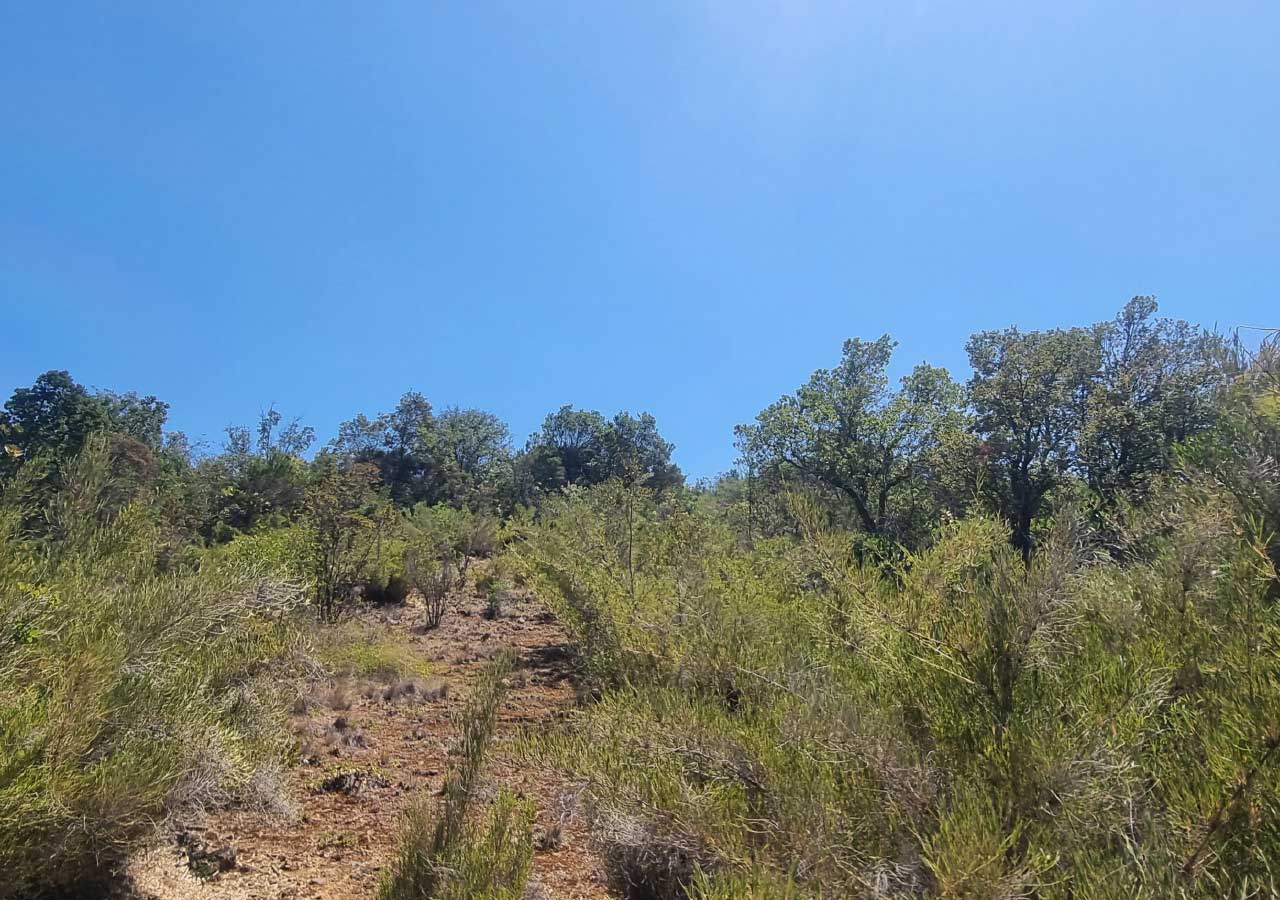 Terreno en venta en Colbún — foto 6