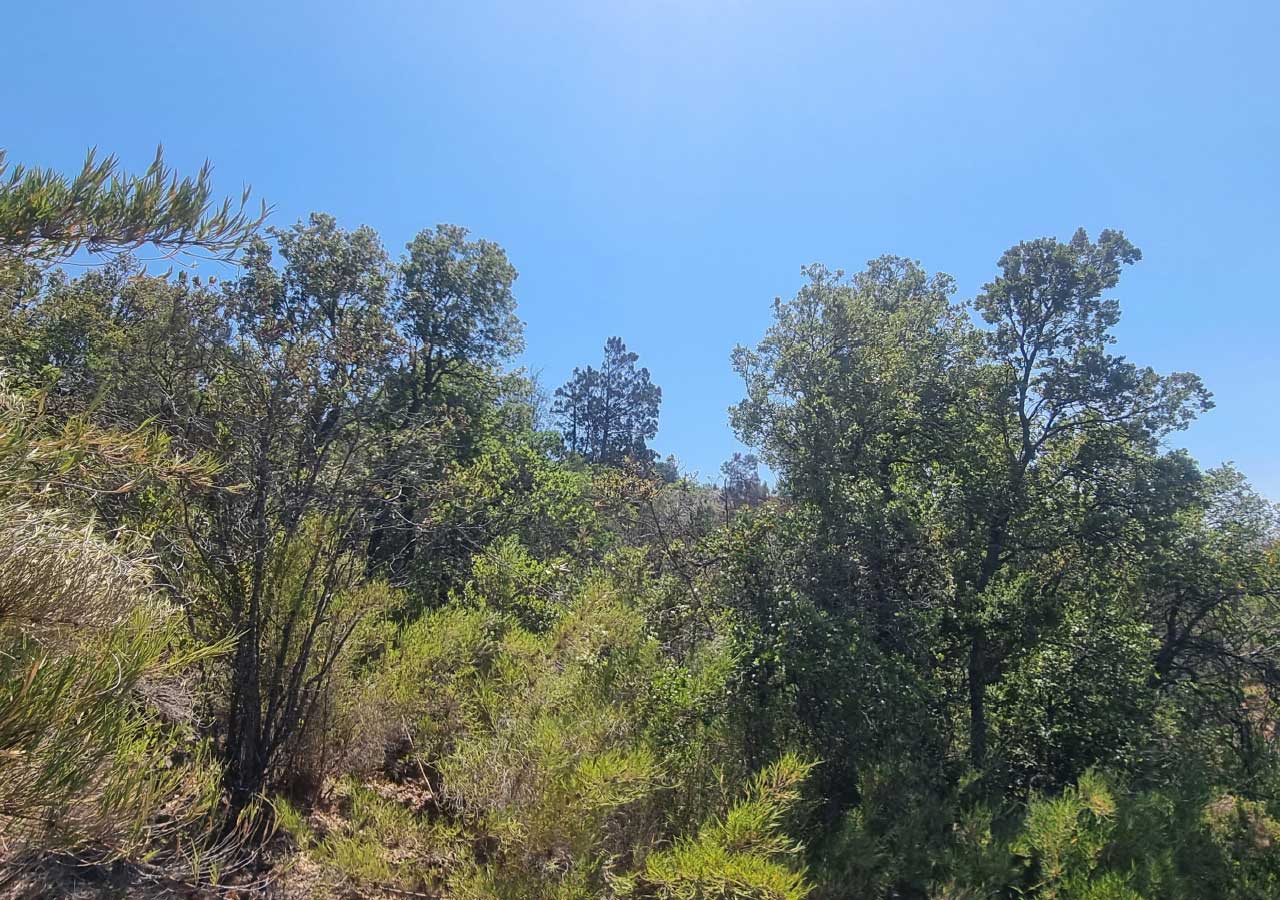 Terreno en venta en Colbún — foto 7