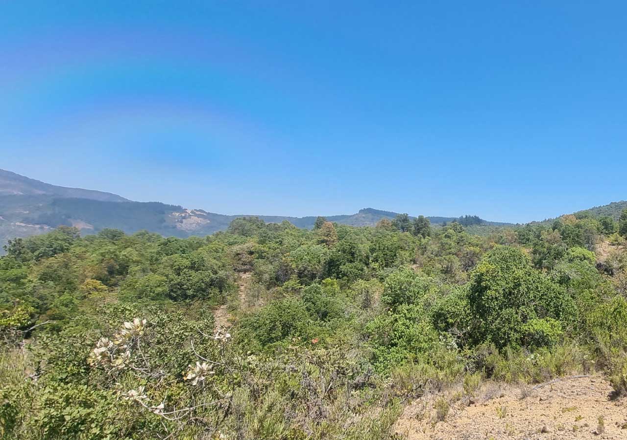 Terreno en venta en Colbún — foto 8