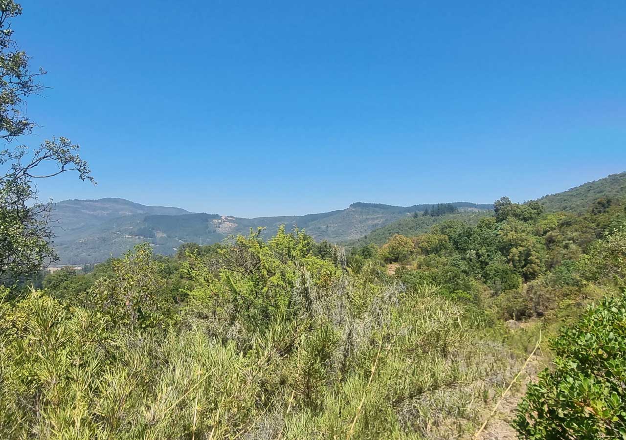 Terreno en venta en Colbún — foto 9