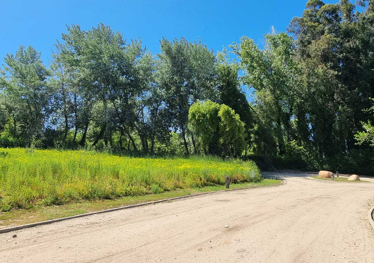 Terreno en venta en Colbún — foto 6