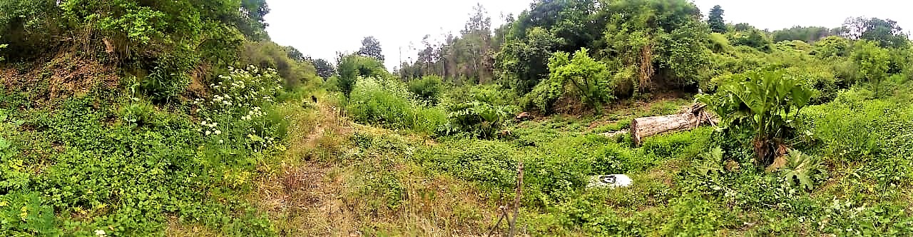 Terreno en venta en Chiguayante — foto 2