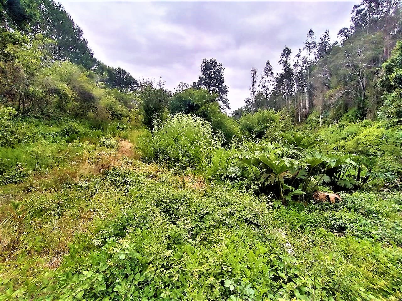 Terreno en venta en Chiguayante — foto 5