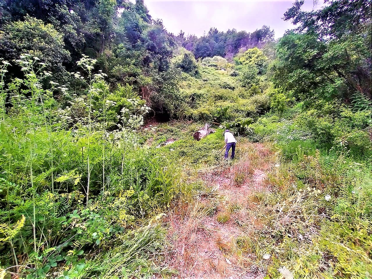 Terreno en venta en Chiguayante — foto 6